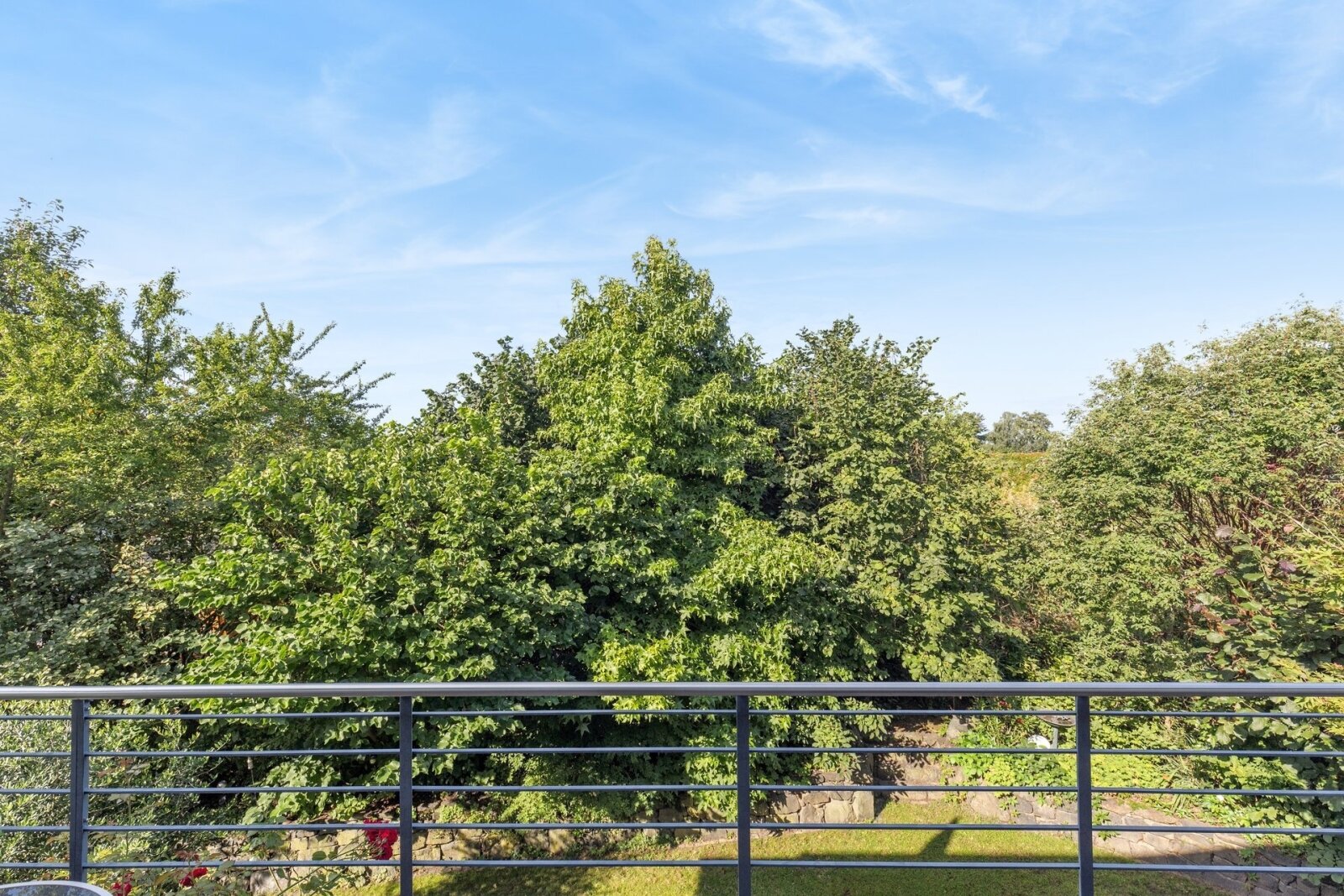 Blick von Terrasse Blick von Terrasse