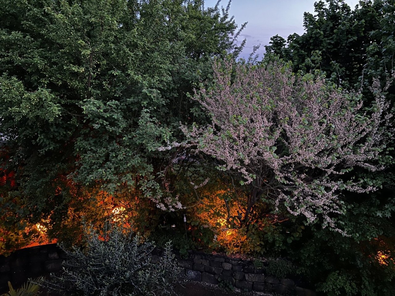 stimmungsvolle Gartenbeleuchtung